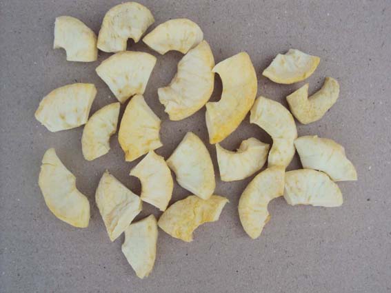 �O(p��ng)��Ȧ�ķ�֮һ